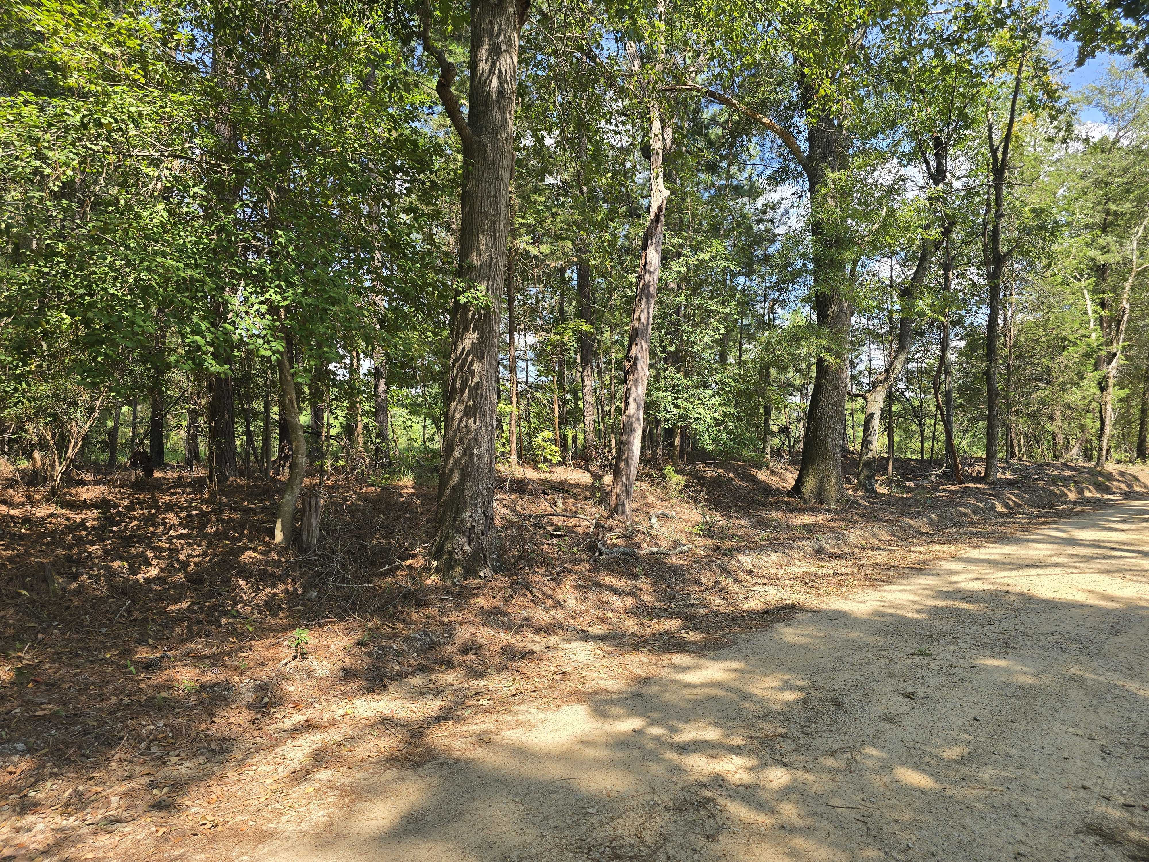 15 Dyches Road, Grovetown, GA, USA, 30813 - Thumbnail 4