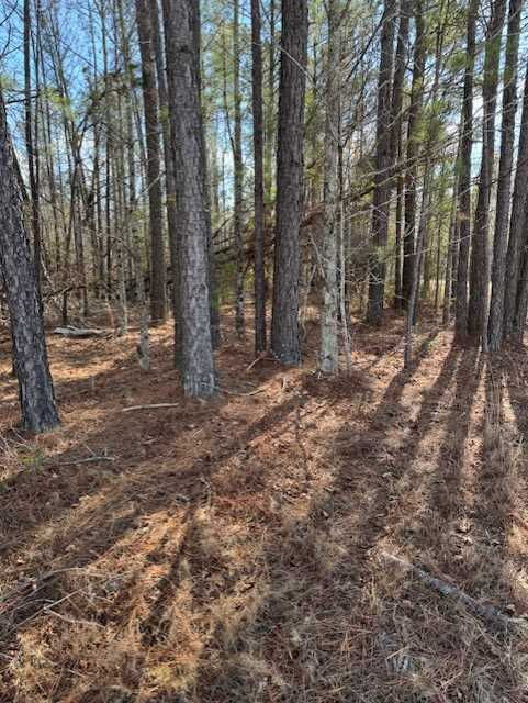 101 Antlers Trail, Hephzibah, GA, USA, 30815 - Thumbnail 4