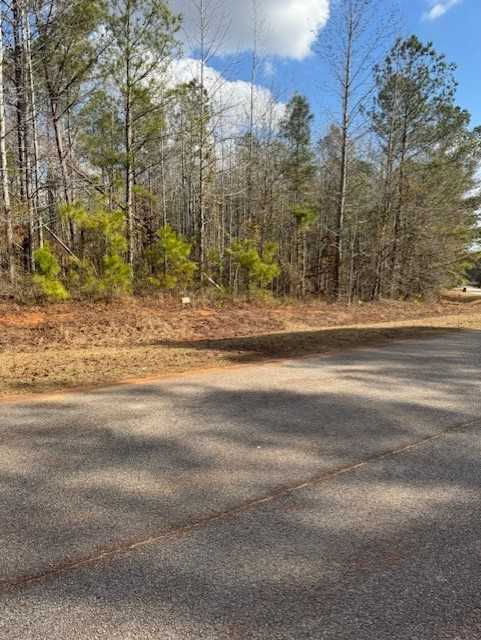 103 Antlers Trail, Hephzibah, GA, USA, 30815 - Thumbnail 4