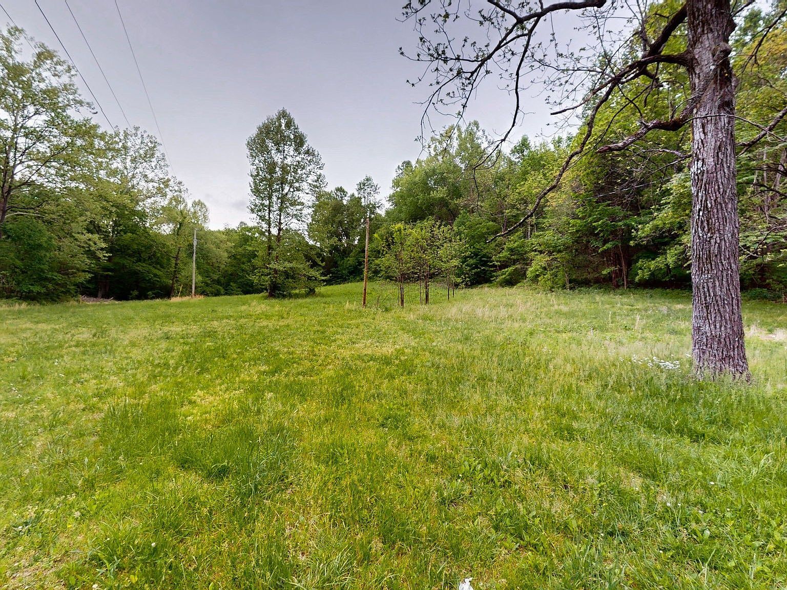 2100 Highway 13 Erin, TN 37061 - Thumbnail 4