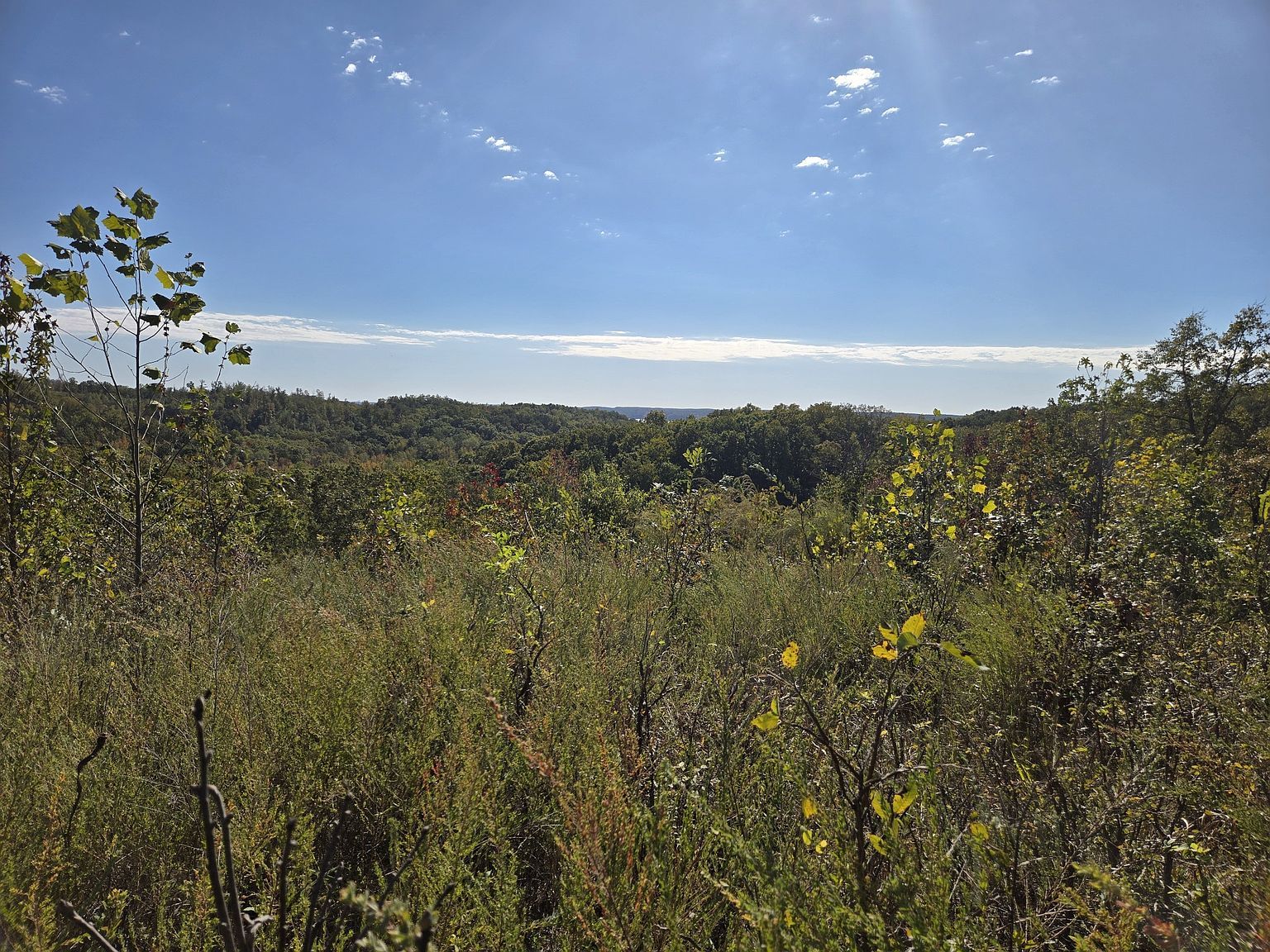 0 Vista Ridge Dr LOT 30 Stewart, TN 37175 - Thumbnail 4