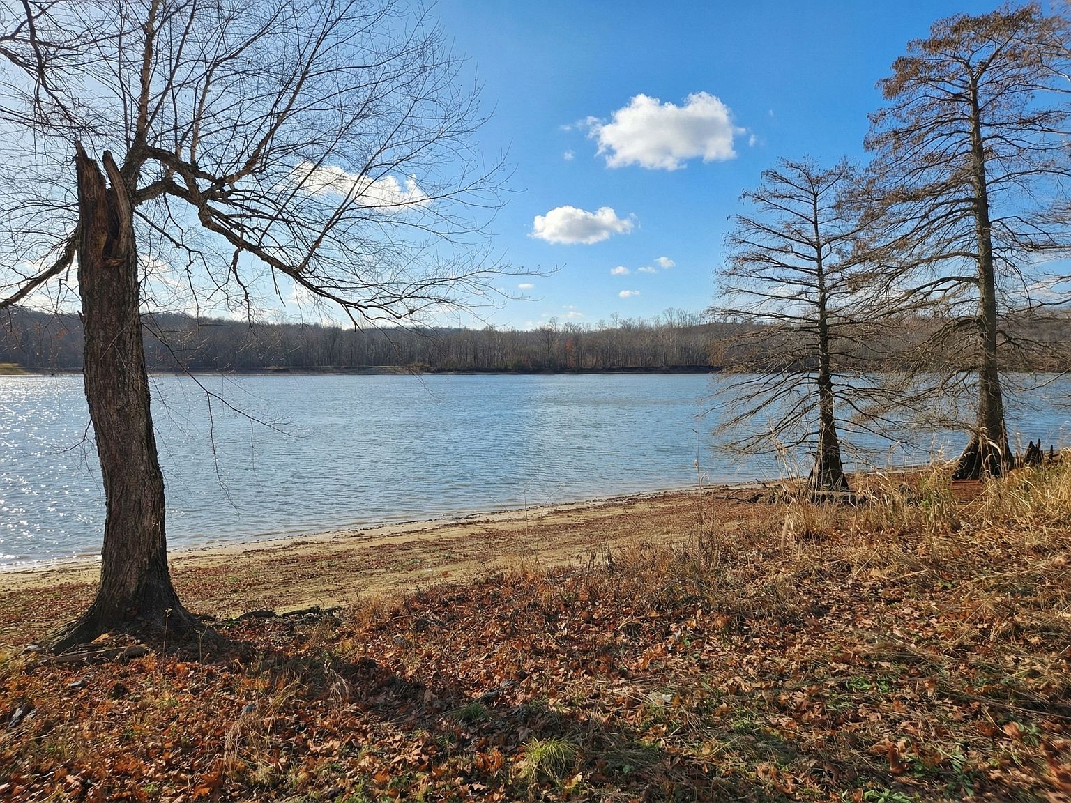 403 Hardin Bottom Rd LOT 148 Clifton, TN 38425 - Thumbnail 4