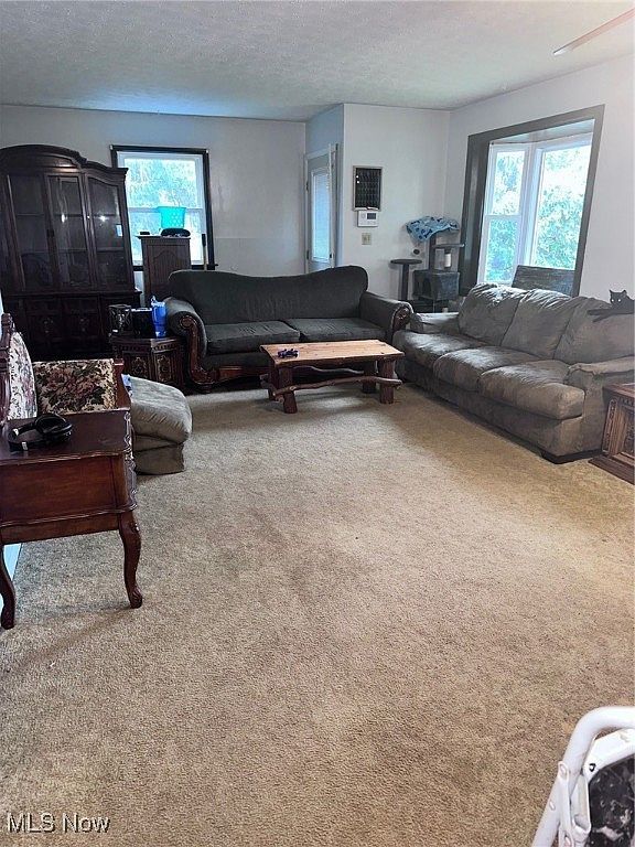 2908 Columbus Ave Ashtabula, OH 44004 - Thumbnail 4