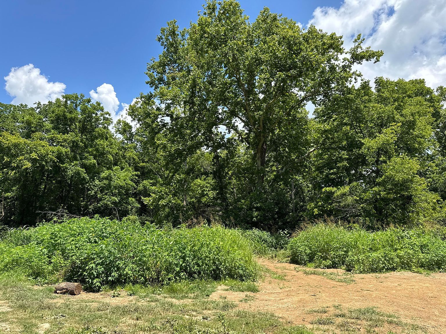 2640 & 2680 John Watts Rd Nicholasville, KY 40356 - Thumbnail 4