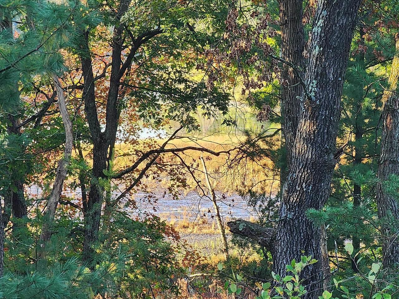 Dyke Dr Friendship, WI 53934 - Thumbnail 4