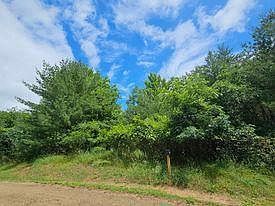 11-12 French St Friendship, WI 53934 - Thumbnail 4