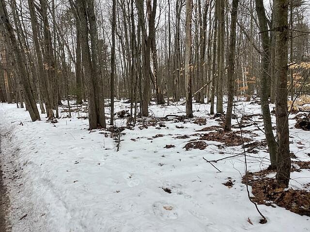 4 S Perch Lake Dr Gaylord, MI 49735 - Thumbnail 4