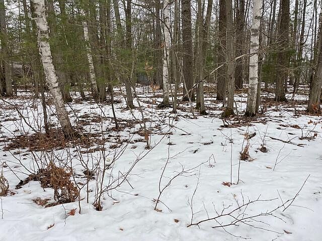 3 S Perch Lake Dr Gaylord, MI 49735 - Thumbnail 4