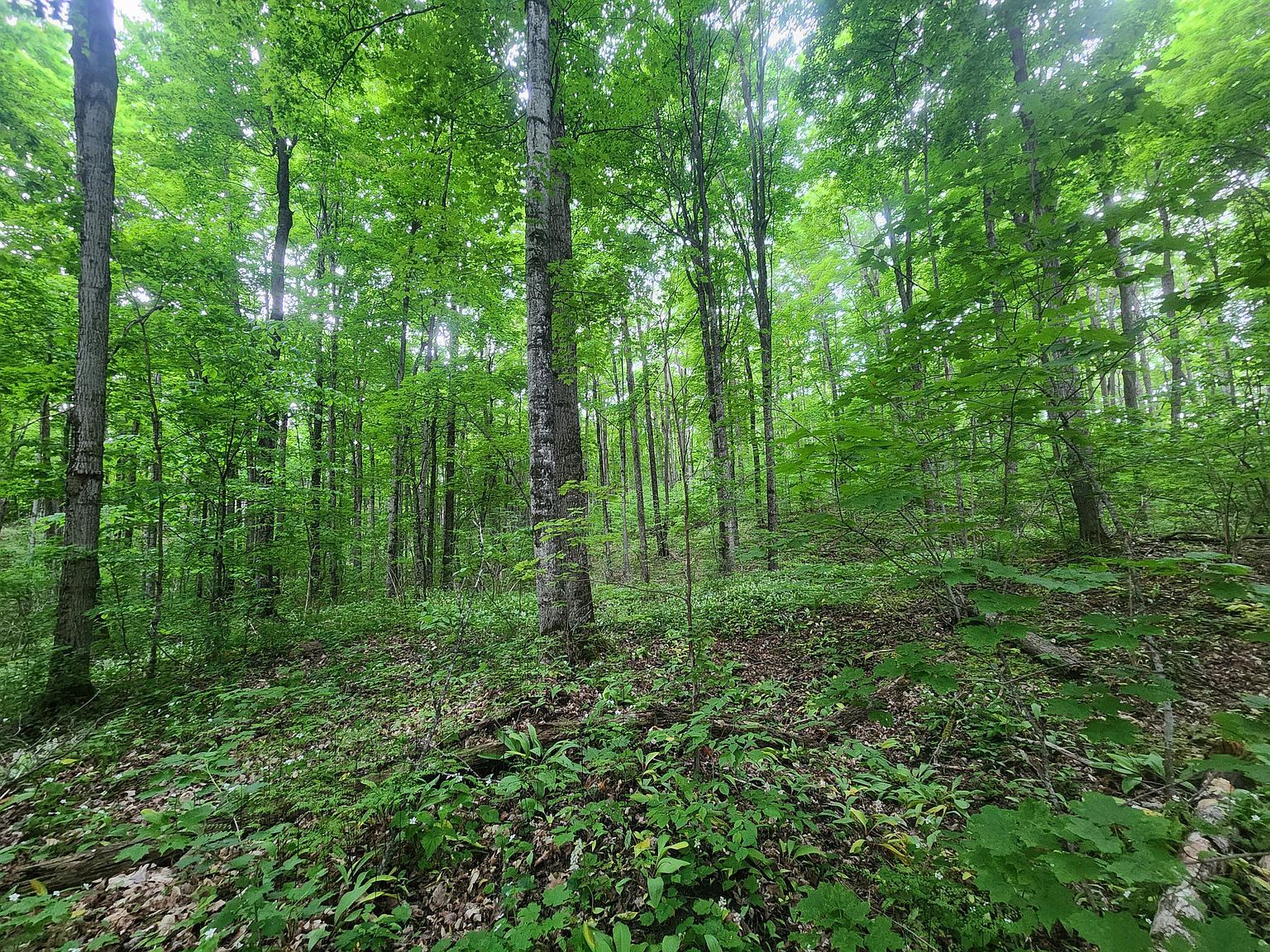 V/l 123ac Hlywa Dr Gaylord, MI 49735 - Thumbnail 4