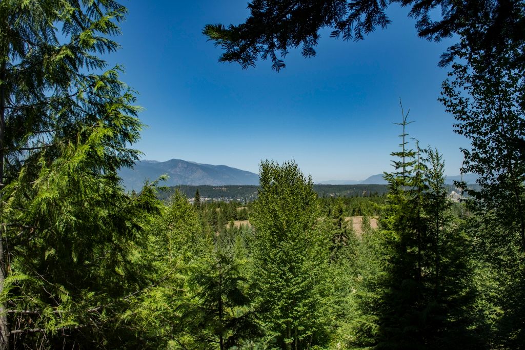 NNA Cottage Ln, Bonners Ferry, ID, 83805 - Thumbnail 4