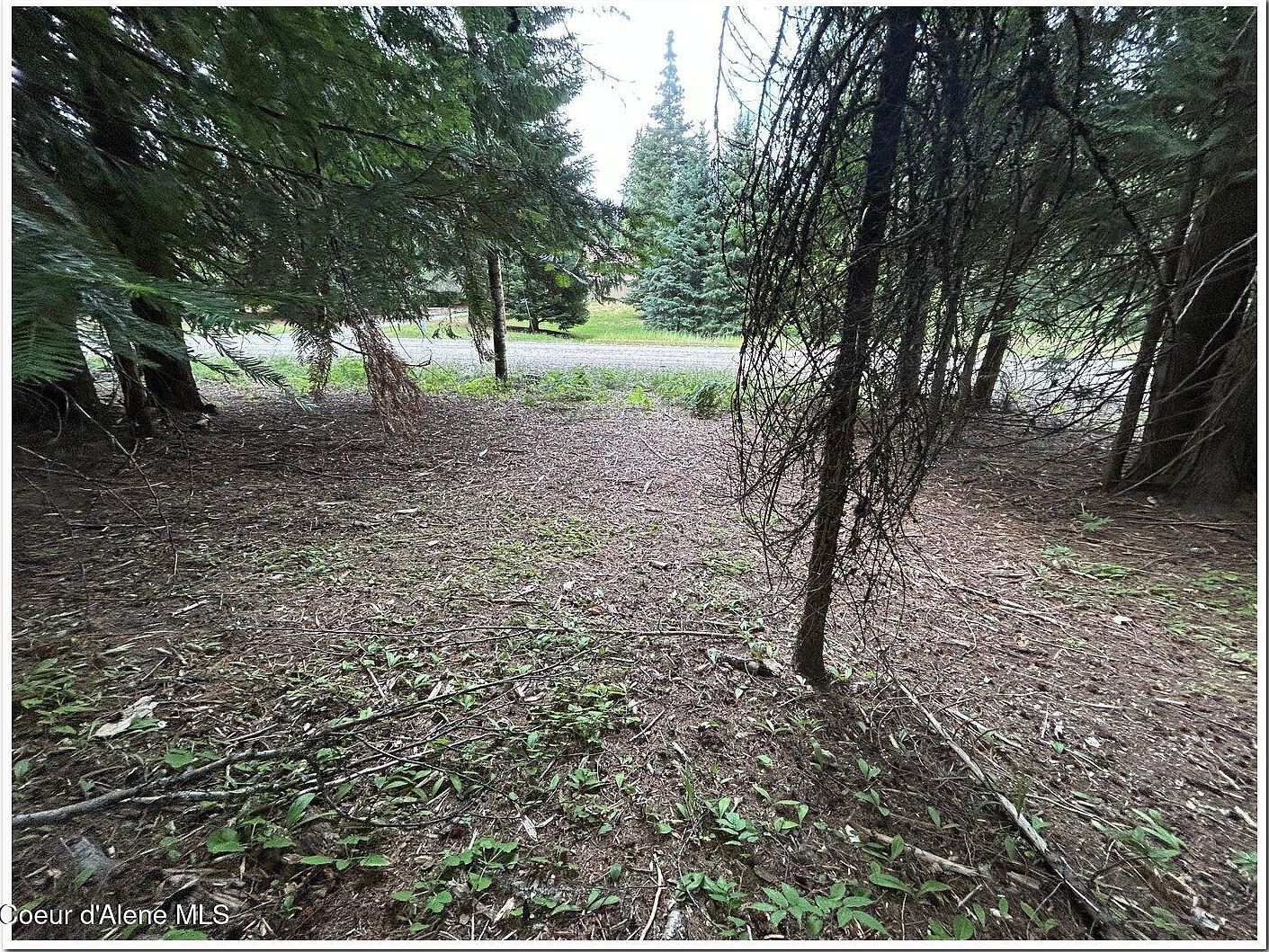 7 Fall Creek Rd #1 Naples, ID 83847 - Thumbnail 4