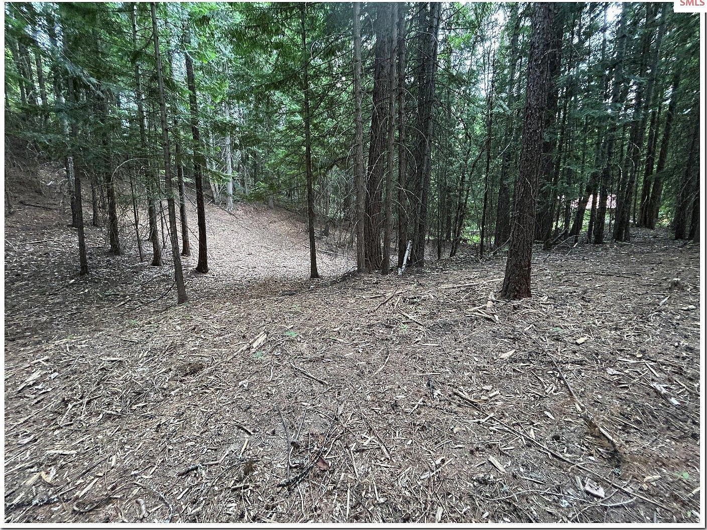 7 Fall Creek Rd Naples, ID 83847 - Thumbnail 4