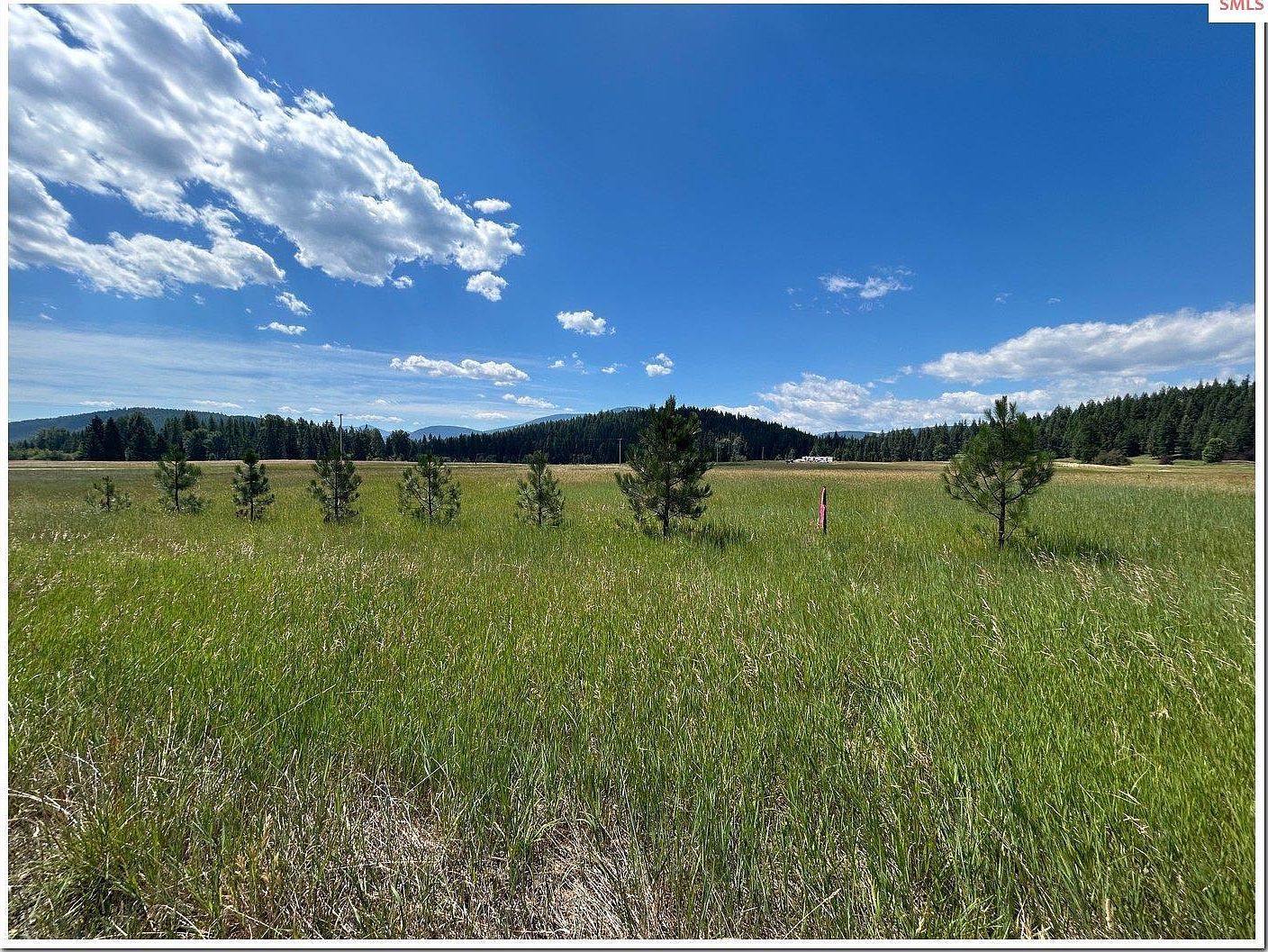 163 Firehouse Rd Moyie Springs, ID 83845 - Thumbnail 4