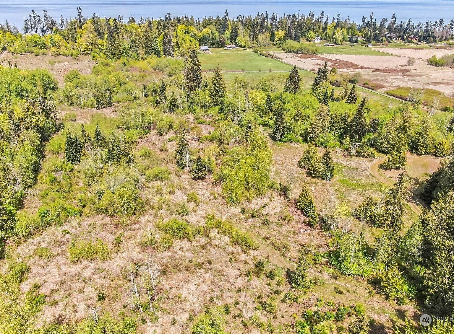 9999 N Bagley Creek Rd Pt Angeles, WA 98362 - Thumbnail 4