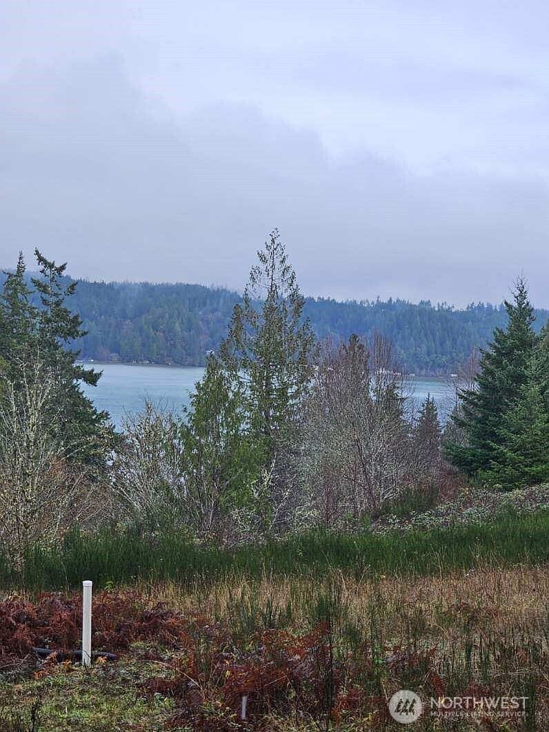 211 E Linda Vista Ct Union, WA 98592 - Thumbnail 4