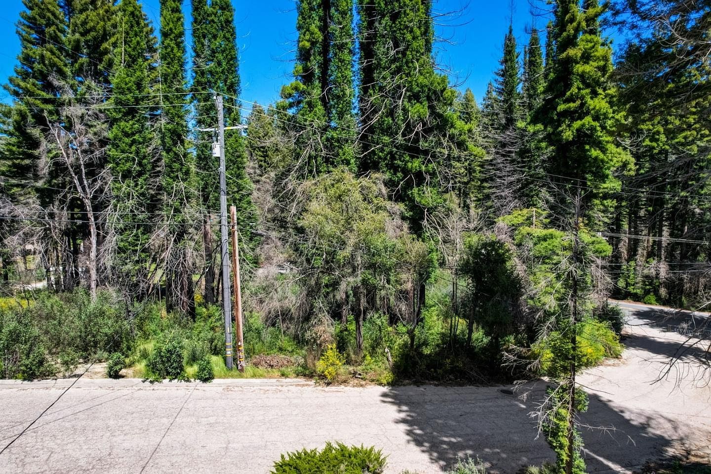 0 Fallen Leaf Dr Boulder Creek, CA 95006 - Thumbnail 4