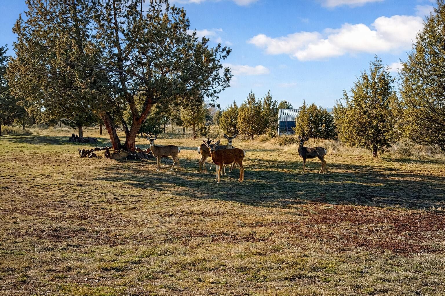 14734 SW Peninsula Dr Terrebonne, OR 97760 - Thumbnail 4