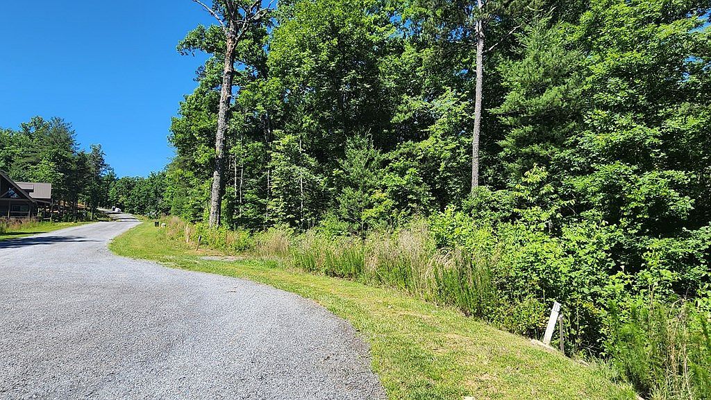 LOT 112 Jakes Landing Dr Ellijay, GA 30540 - Thumbnail 4