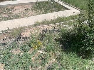 3 Mardan Ln Moriarty, NM 87035 - Thumbnail 4