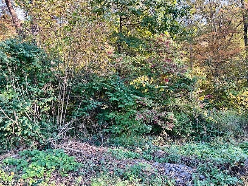 9 Old Woodland Trl Oak Ridge, NJ 07438 - Thumbnail 4