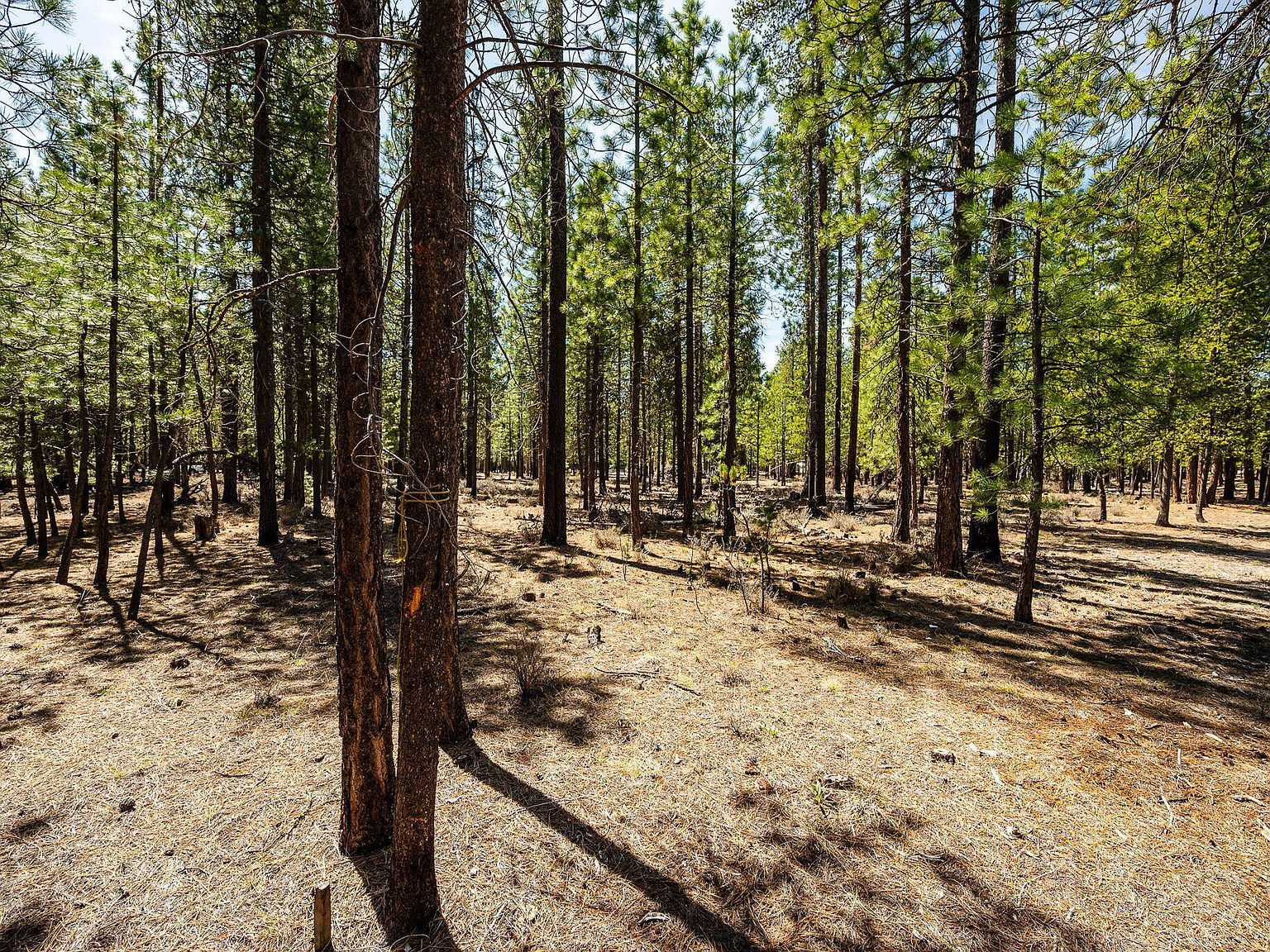 51861 Knobcone La Pine, OR 97739 - Thumbnail 4