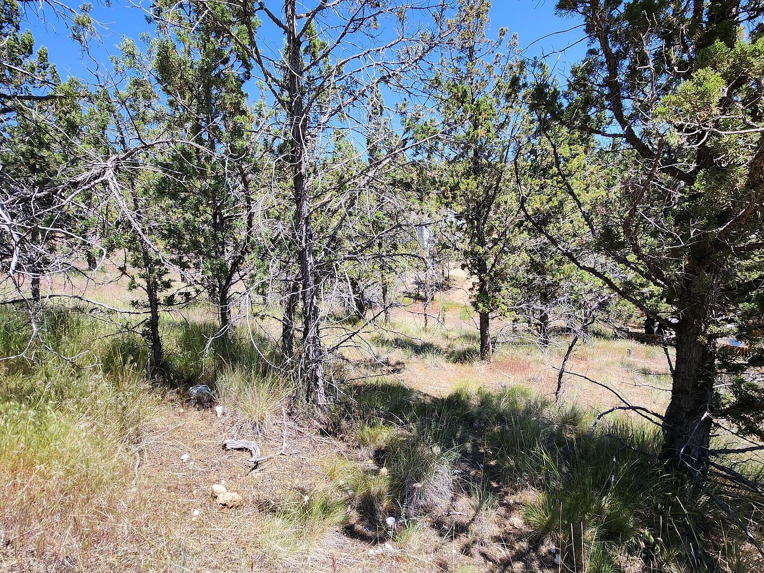 11574 NW Nye Ave Prineville, OR 97754 - Thumbnail 4