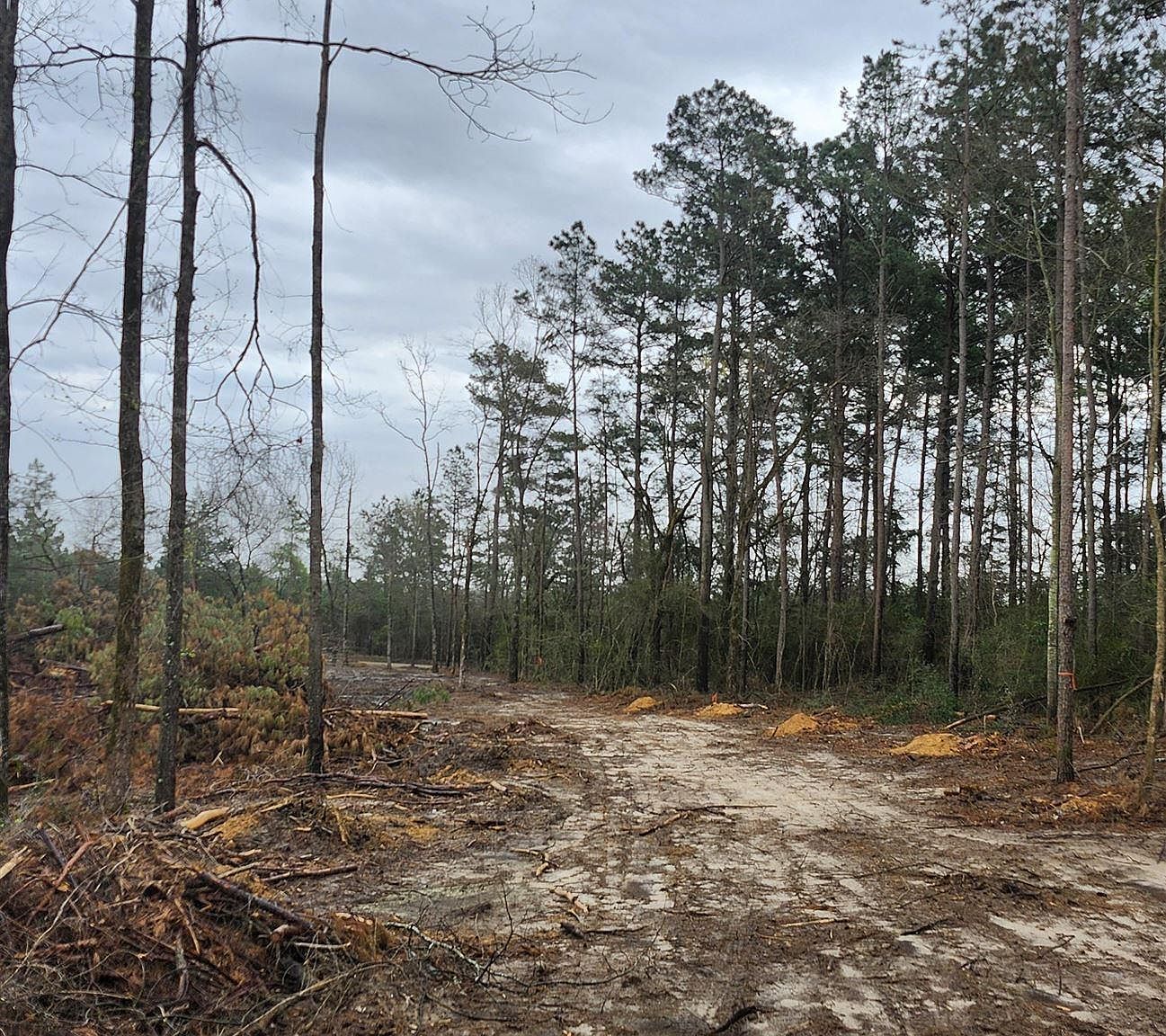 County Road 182 Timpson, TX 75975 - Thumbnail 4