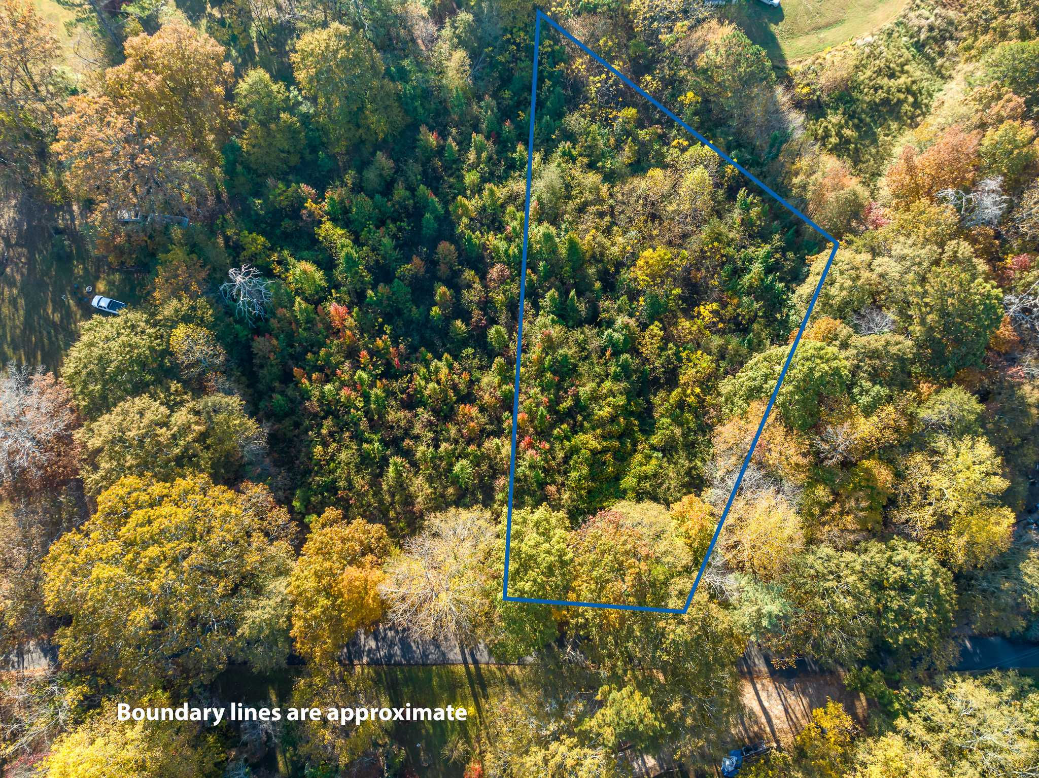 286 Lowry Street, Ball Ground, GA, USA, 30107 - Thumbnail 4