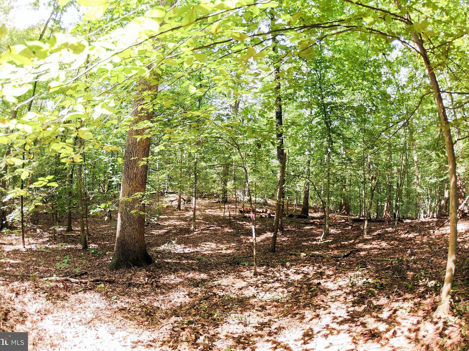 Laurel Dr Accokeek, MD 20607 - Thumbnail 4