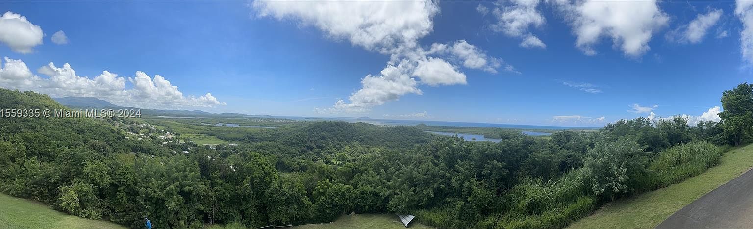 Barrio Anton Ruiz Y Pr #925 Punta Santiago, PR 00741 - Thumbnail 4