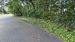 22 Horman St North Billerica, MA 01862 - Thumbnail 4