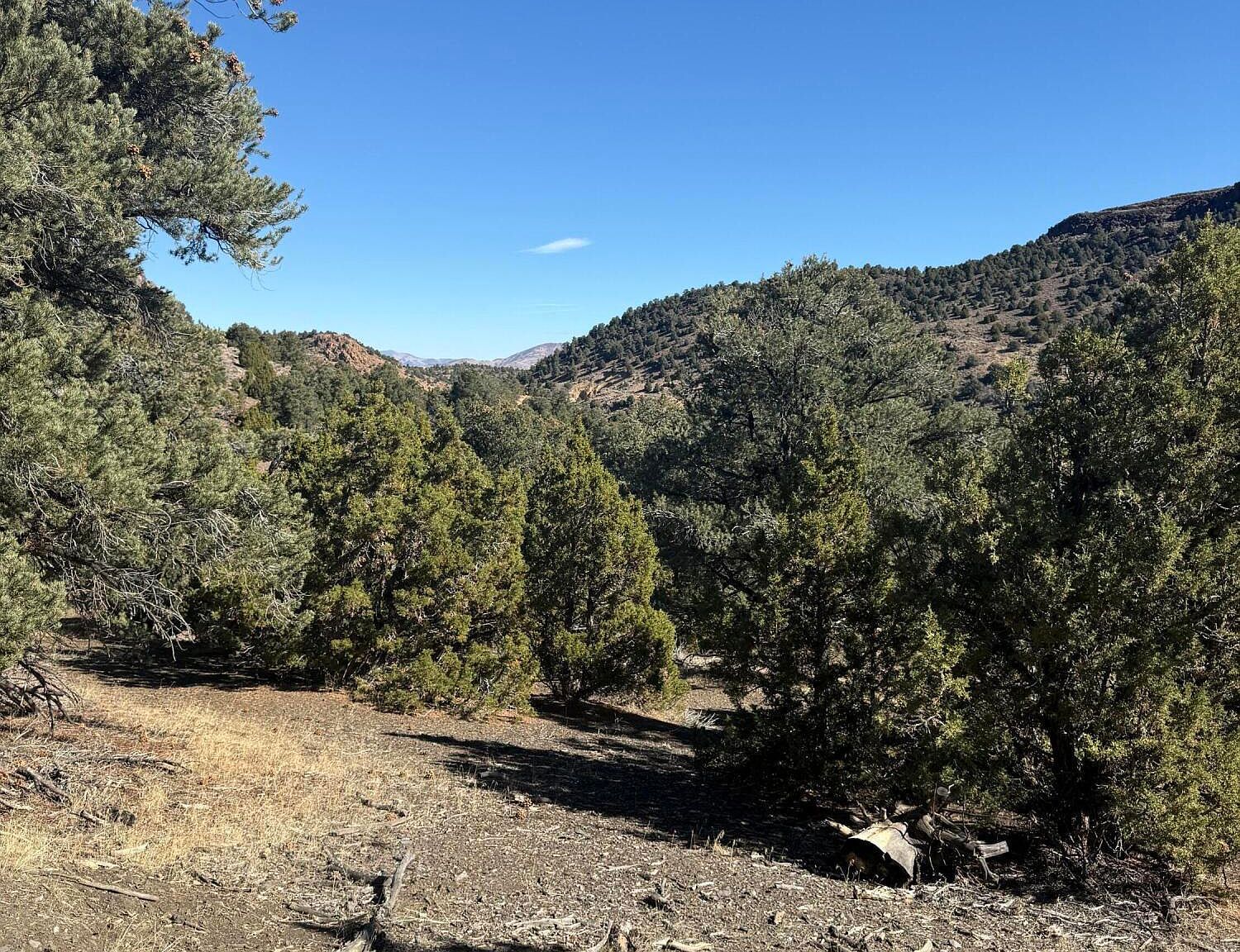 2120 Scorpion Rd #212 Reno, NV 89521 - Thumbnail 4