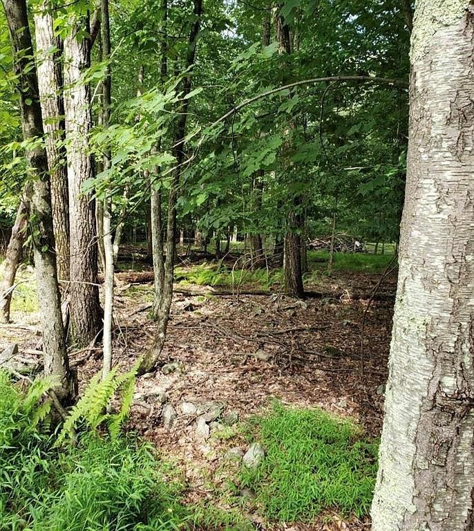 8 Delilah Rd East Stroudsburg, PA 18302 - Thumbnail 4