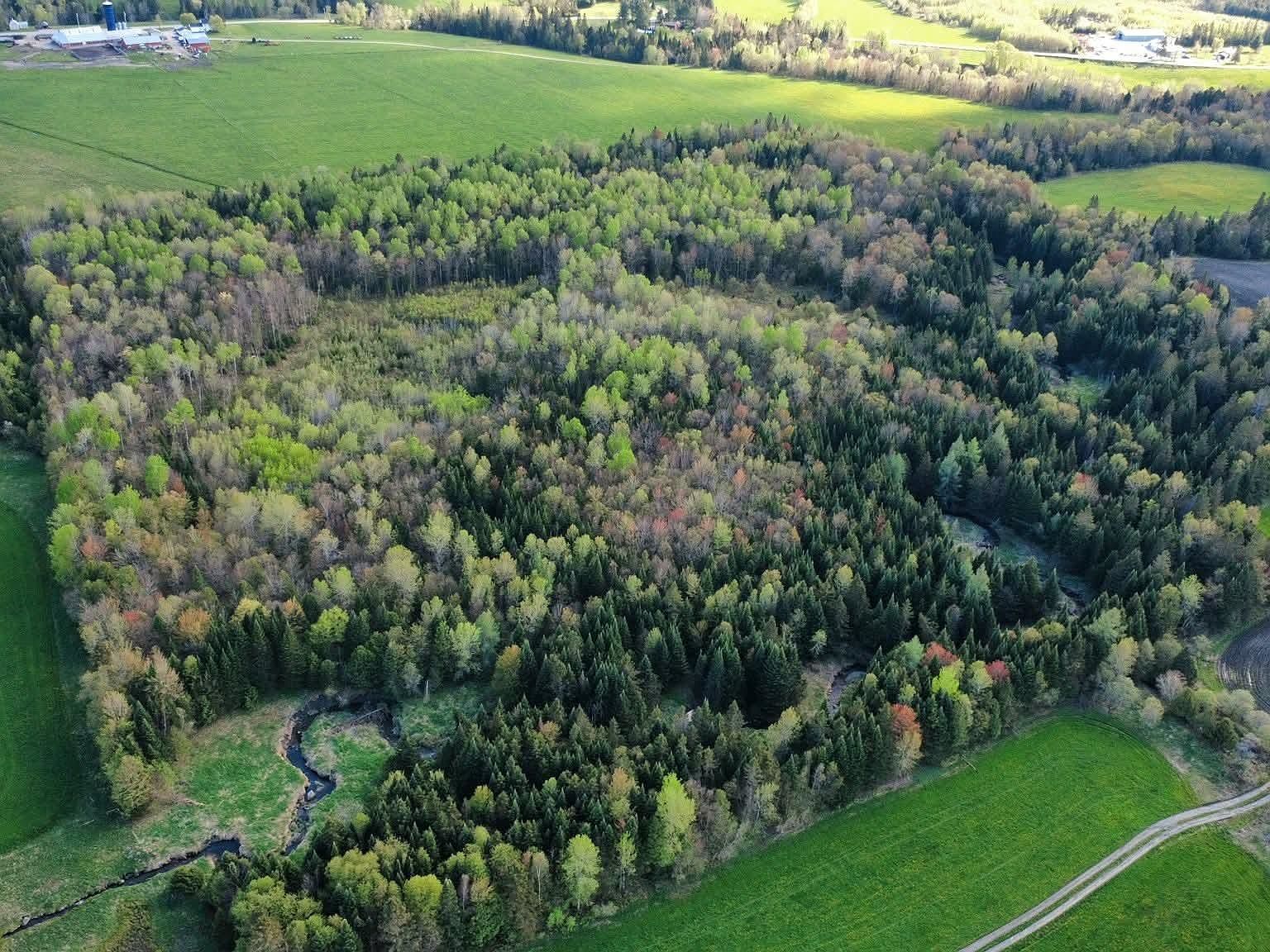 0 Andrews Rd Derby Line, VT 05830 - Thumbnail 4