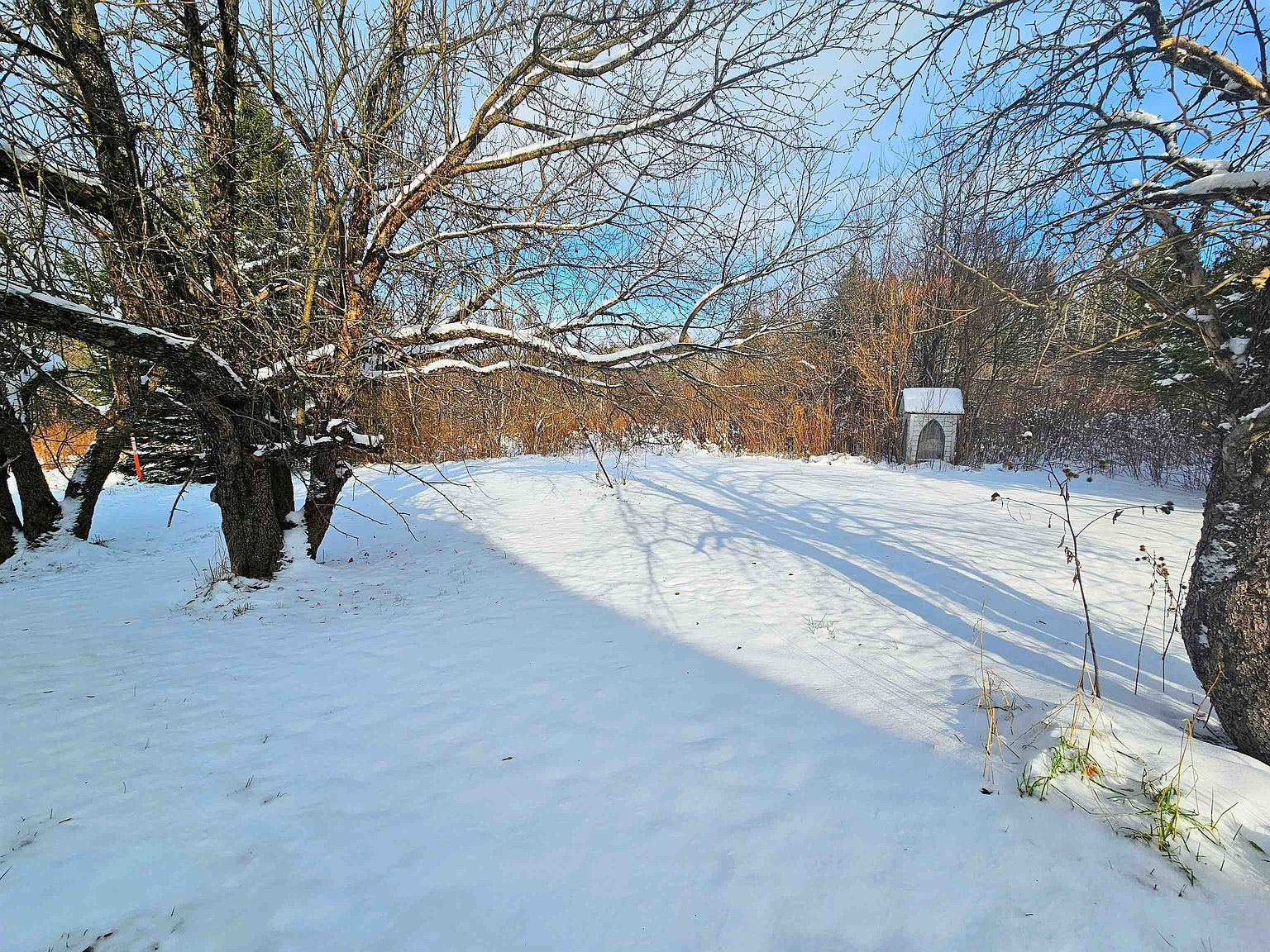 113 Marsh Rd Norton, VT 05907 - Thumbnail 4