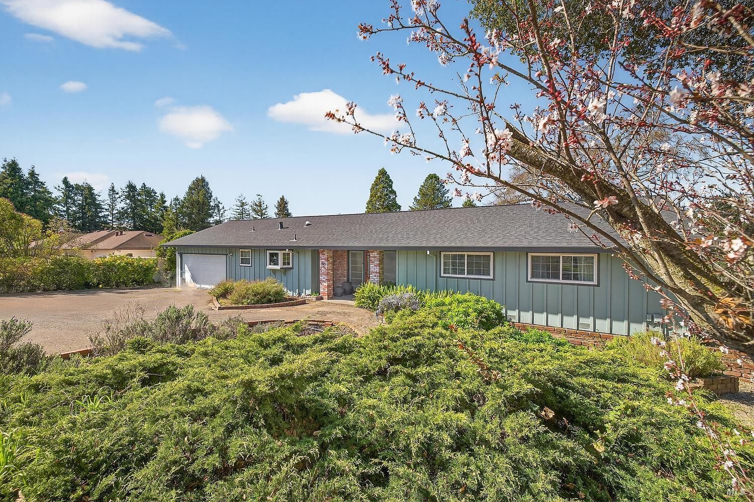 445 Marshall Ave Petaluma, CA 94952 - Thumbnail 4