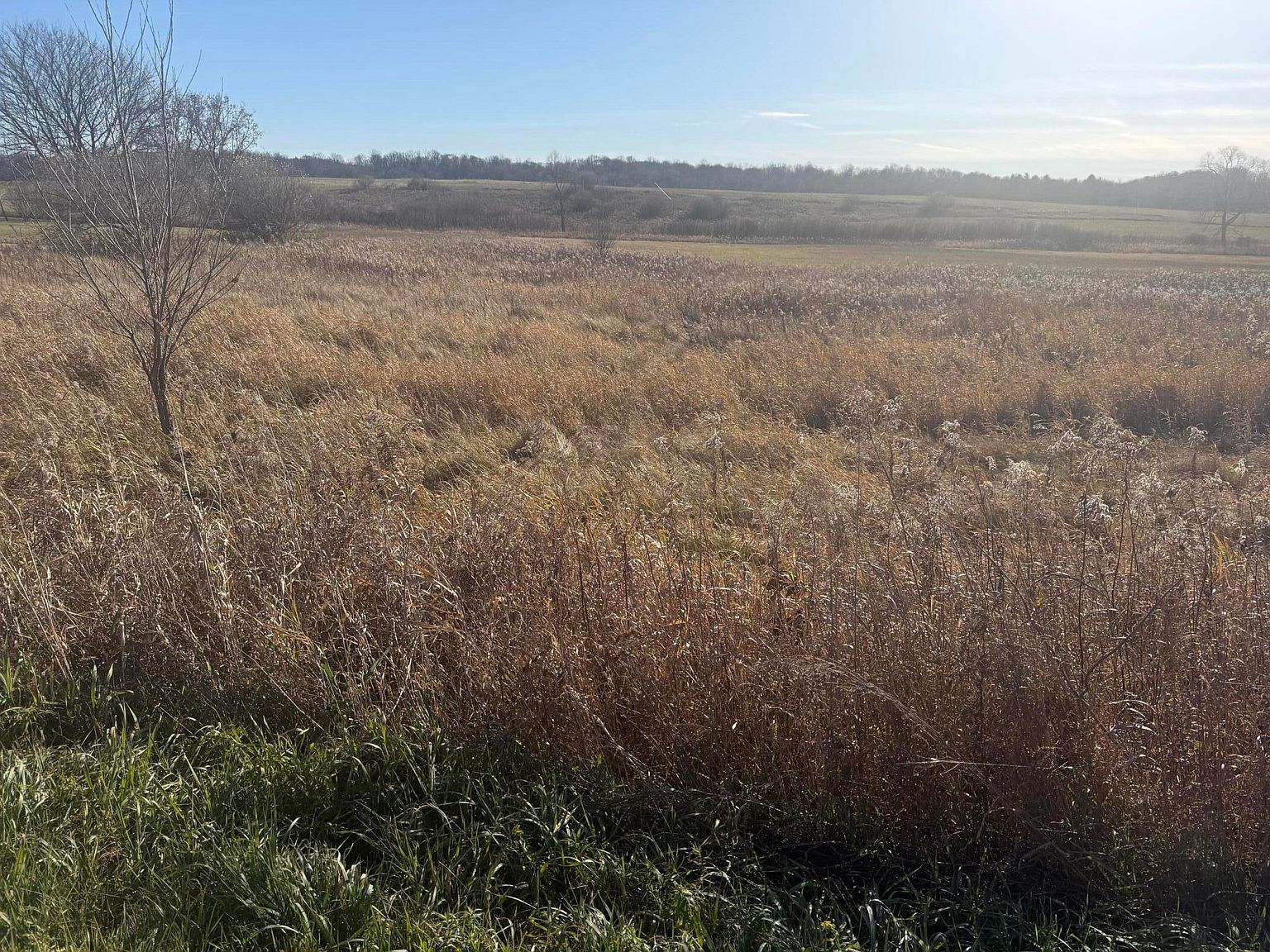 18 Mile Rd Big Rapids, MI 49307 - Thumbnail 4