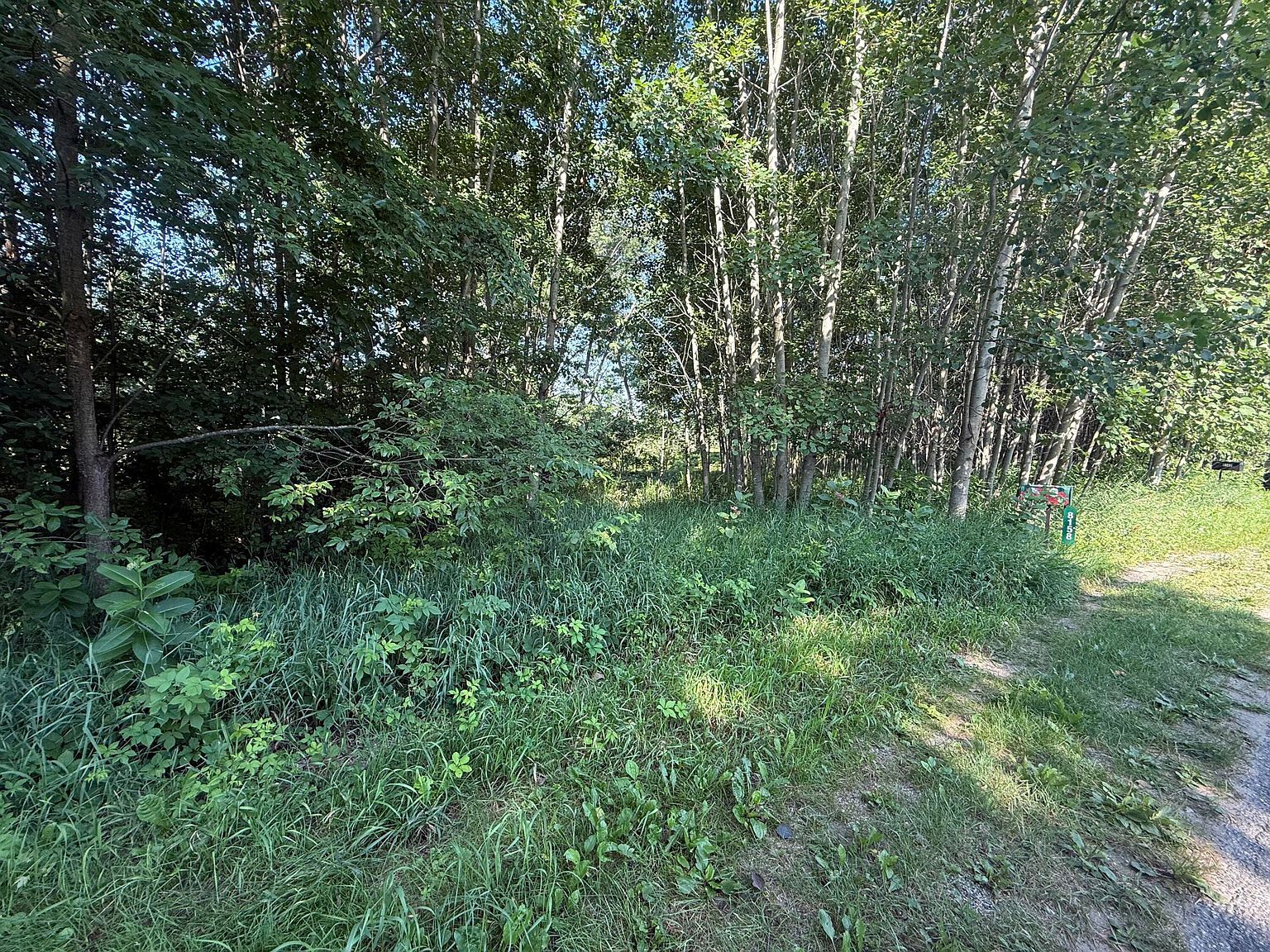 W Royal Rd #2 Stanwood, MI 49346 - Thumbnail 4