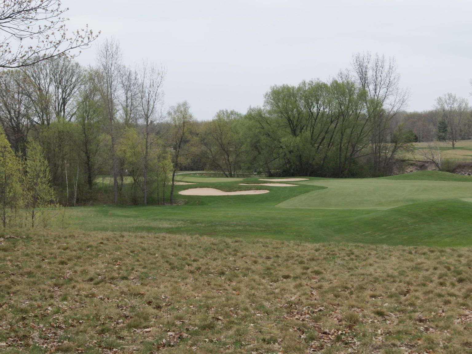 13 Whitetail Dr Mount Pleasant, MI 48858 - Thumbnail 4