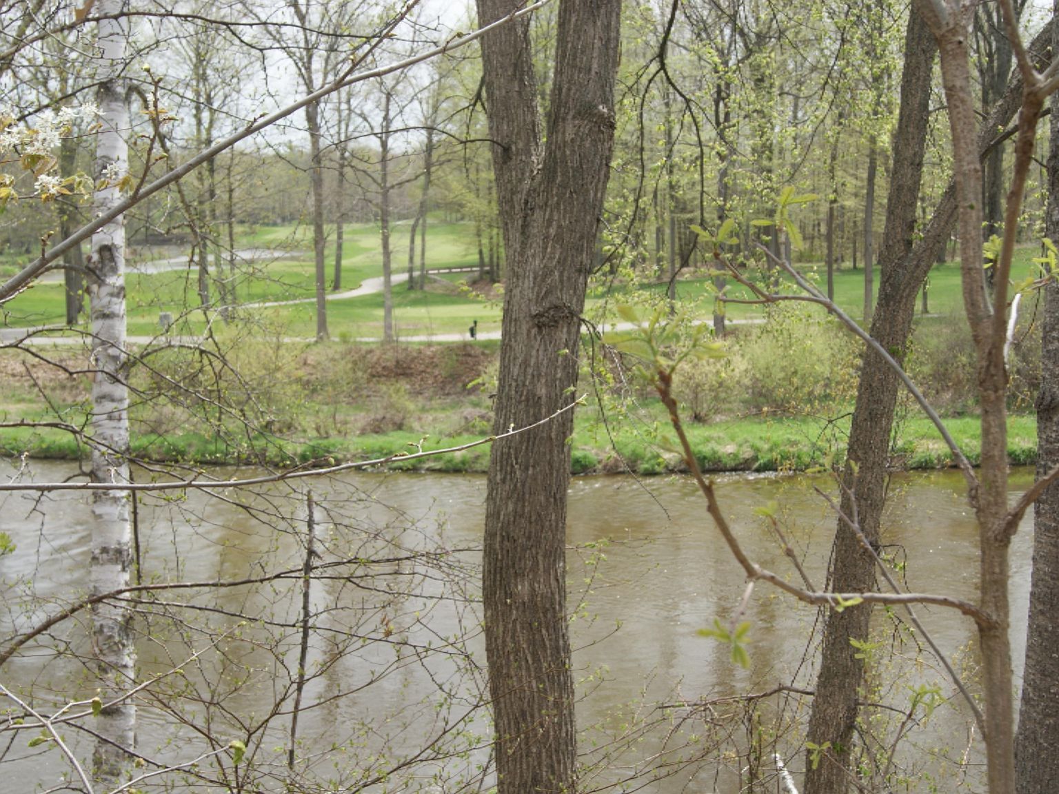 3 E River Rd Mt Pleasant, MI 48858 - Thumbnail 4