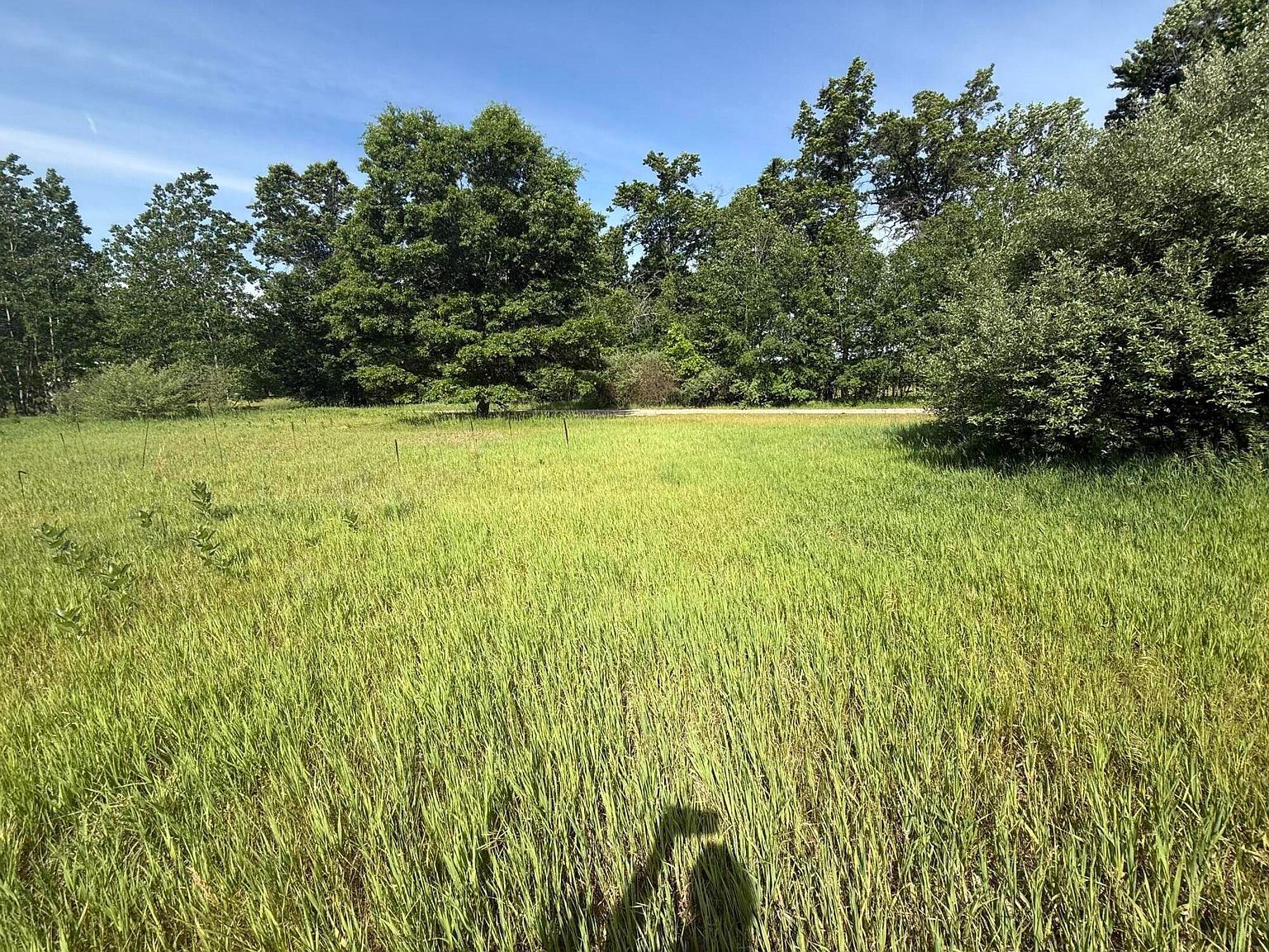 W Royal Rd Lot D Stanwood, MI 49346 - Thumbnail 4