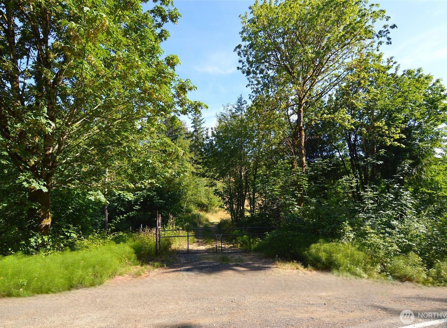 0 Sears Rd Winlock, WA 98596 - Thumbnail 4