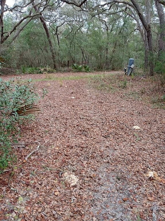 28093 SE Highway 42 Umatilla, FL 32784 - Thumbnail 4
