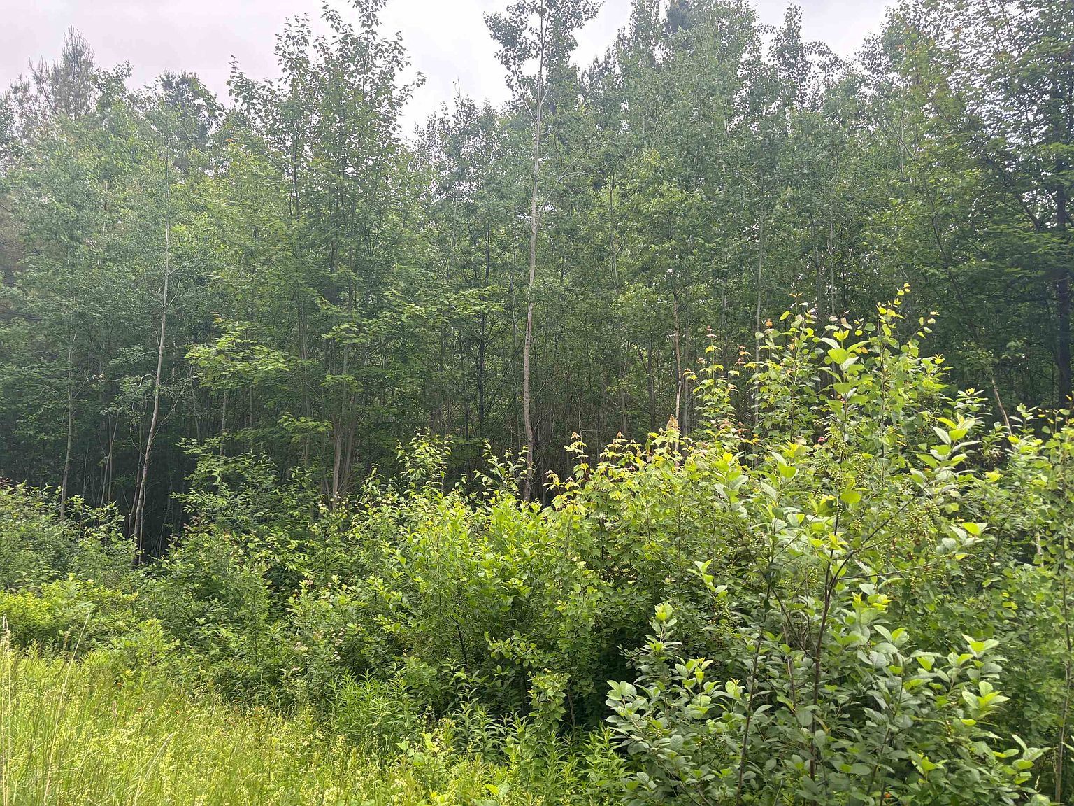 0 State Route 105 Brighton, VT 05846 - Thumbnail 4