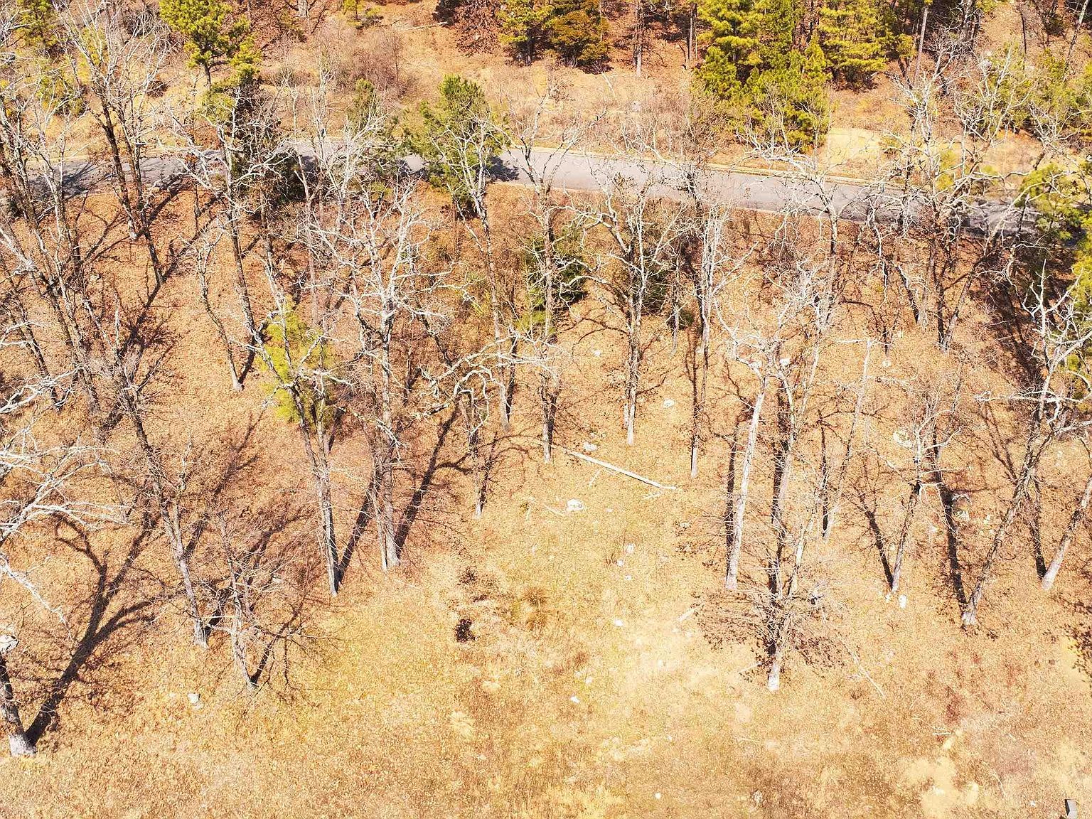 112 Turtle Creek Cv Maumelle, AR 72113 - Thumbnail 4