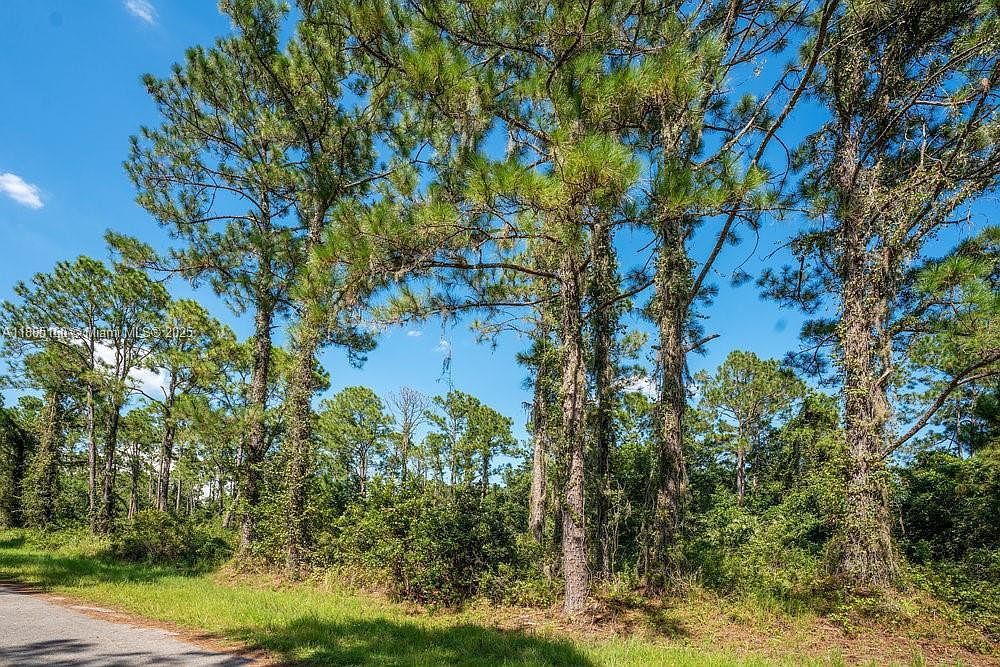 8176 Mantua Ave Sebring, FL 33872 - Thumbnail 4