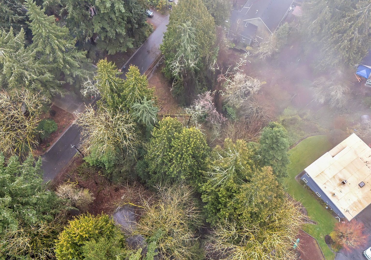0 Ash St Lake Oswego, OR 97034 - Thumbnail 4