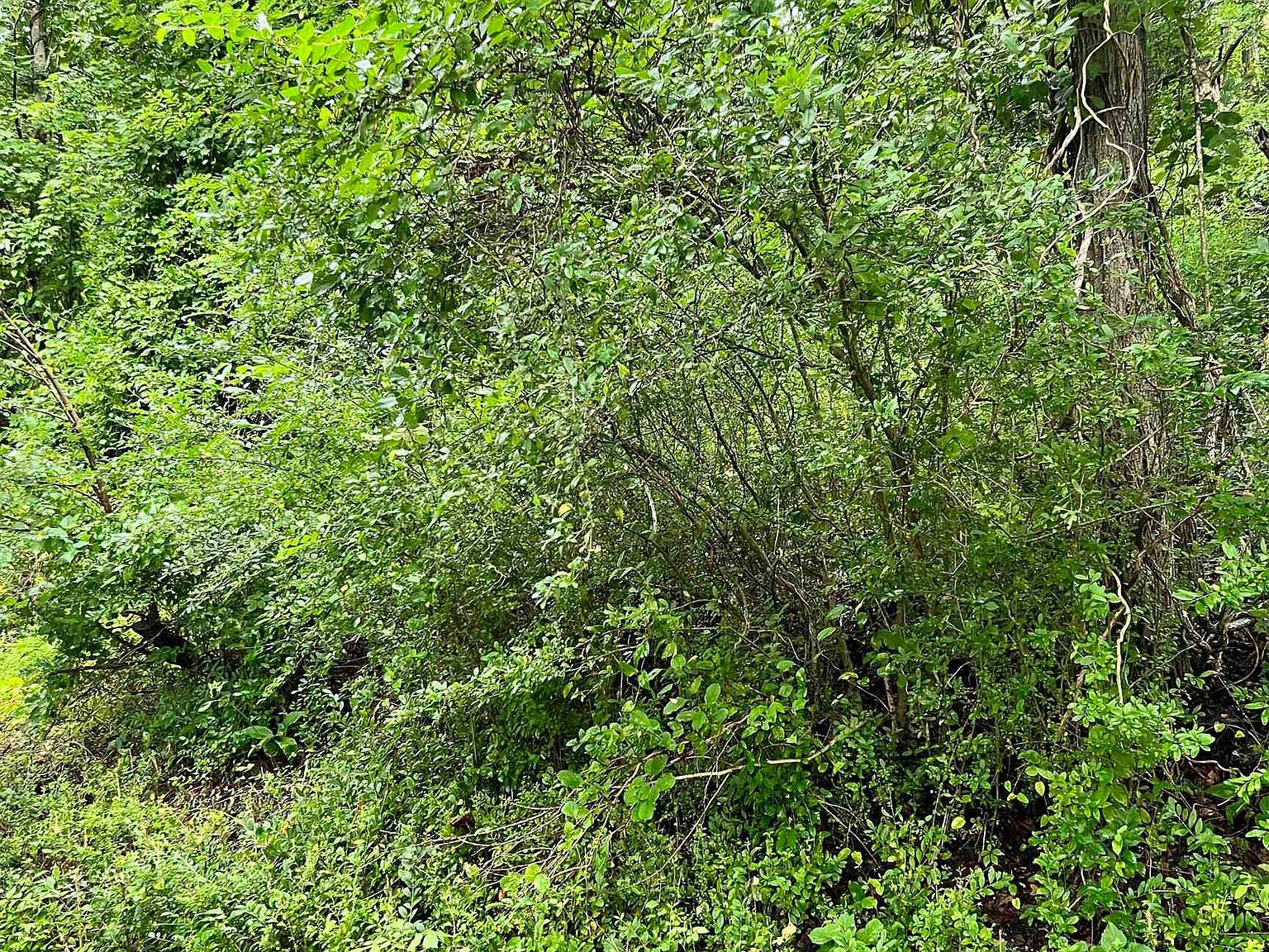 1662 Cook School Rd Huntington, WV 25701  | Land/Lot