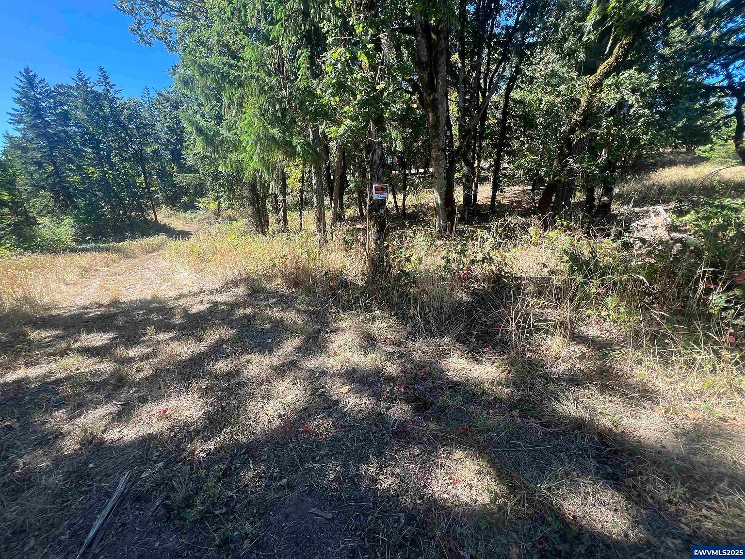 LOT 2 Orchard Knob Rd Dallas, OR 97338 - Thumbnail 4