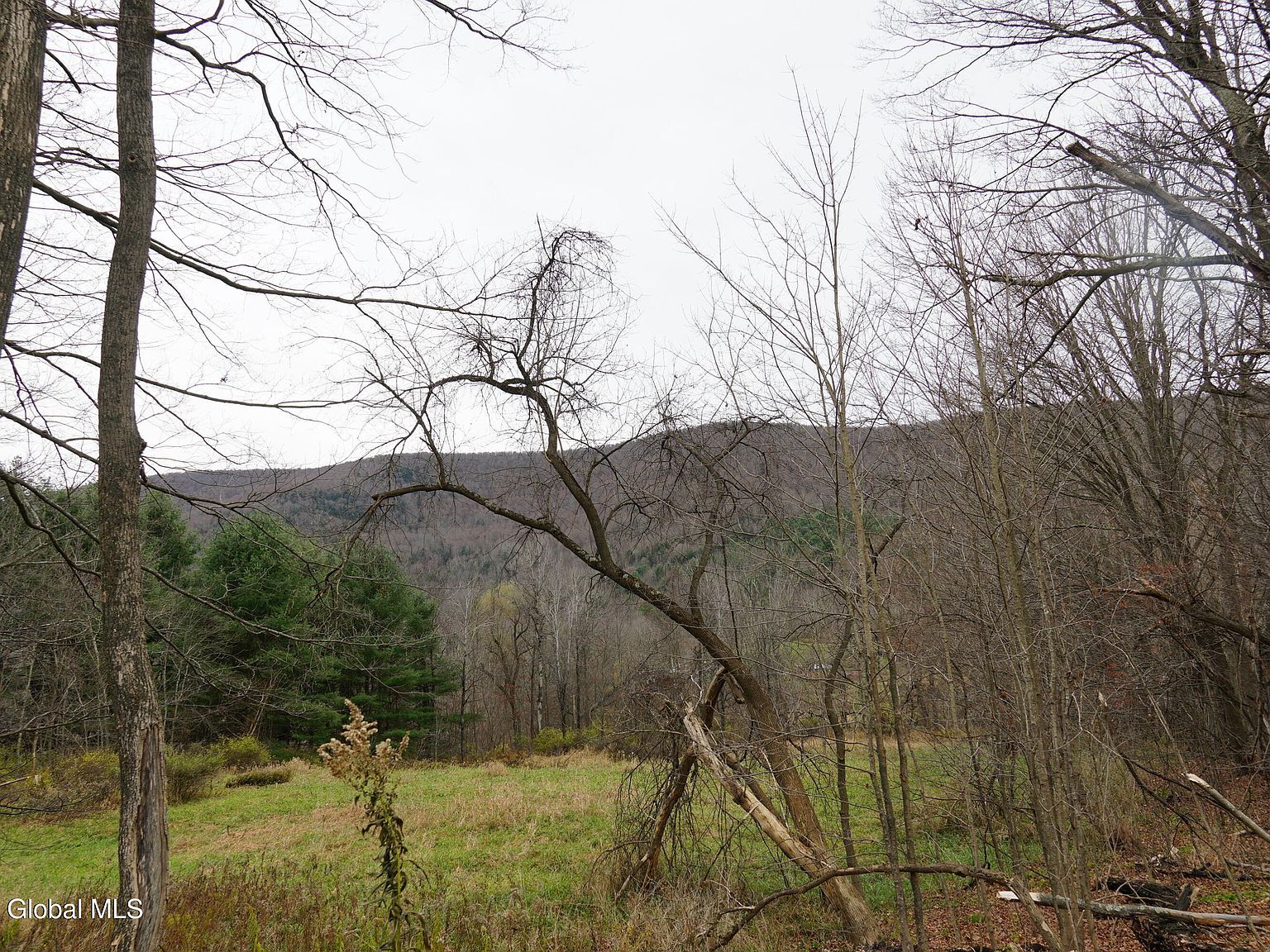 L152 Mount Eden Estates Rd West Kill, NY 12492 - Thumbnail 4